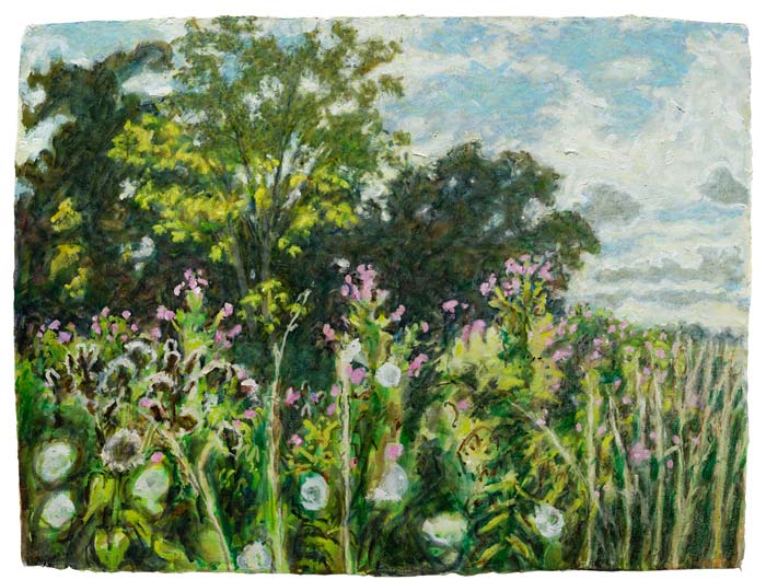 Glebe-Farm-Pond_0